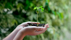 compléments alimentaires manutra